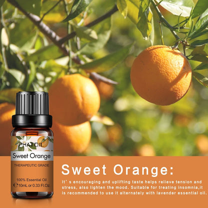 Phatoil Pure Natural Essential Oils Set (10 pcs)