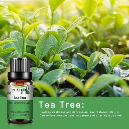 Phatoil Pure Natural Essential Oils Set (10 pcs)