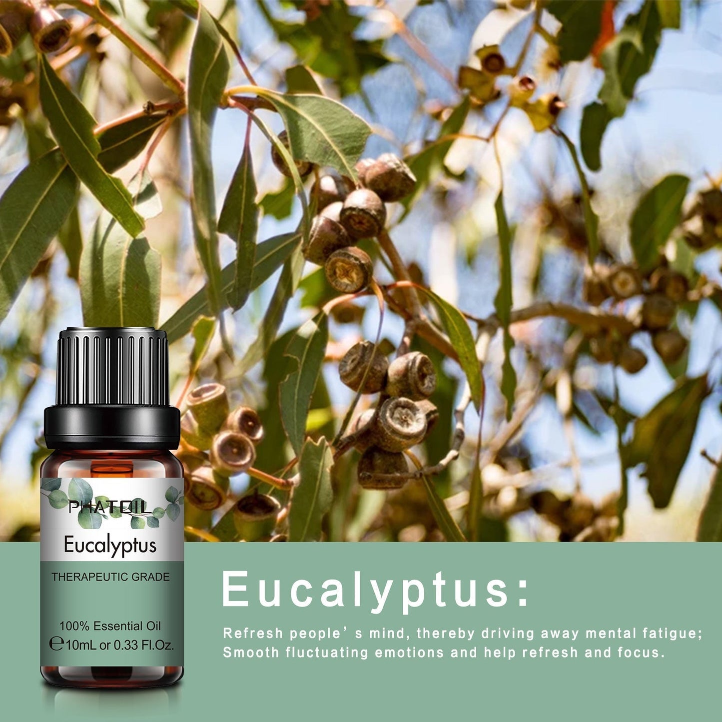 Phatoil Pure Natural Essential Oils Set (10 pcs)